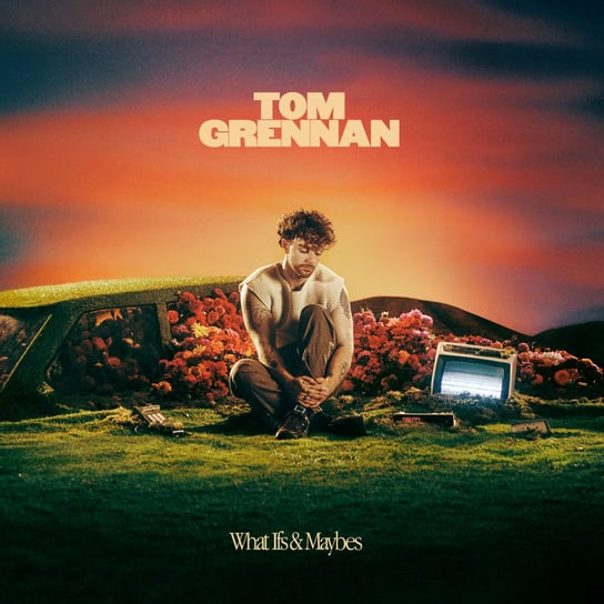 Виниловая пластинка Grennan Tom - What Ifs & Maybes (оранжевый винил)