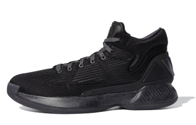 

Adidas D Rose 10 Черный