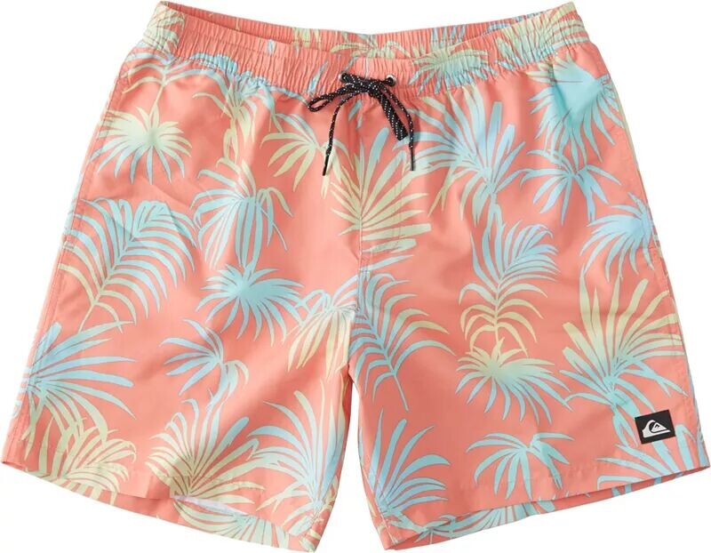 

Мужские шорты Quiksilver D Faded Palm Volley 17 дюймов