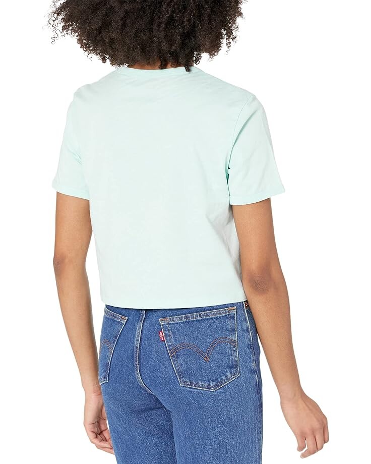 

Футболка Levi's Premium Graphic Homeroom Tee, цвет Giant Cat Pastel Blue