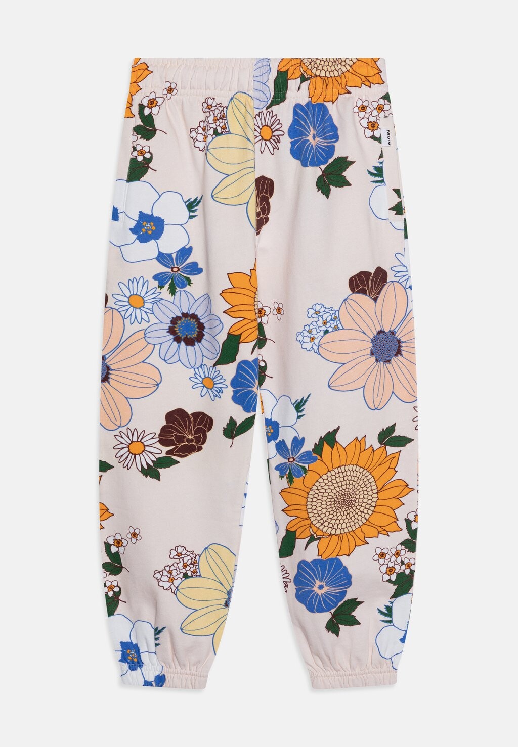 

Спортивные брюки Adan Pants Molo, цвет light retro