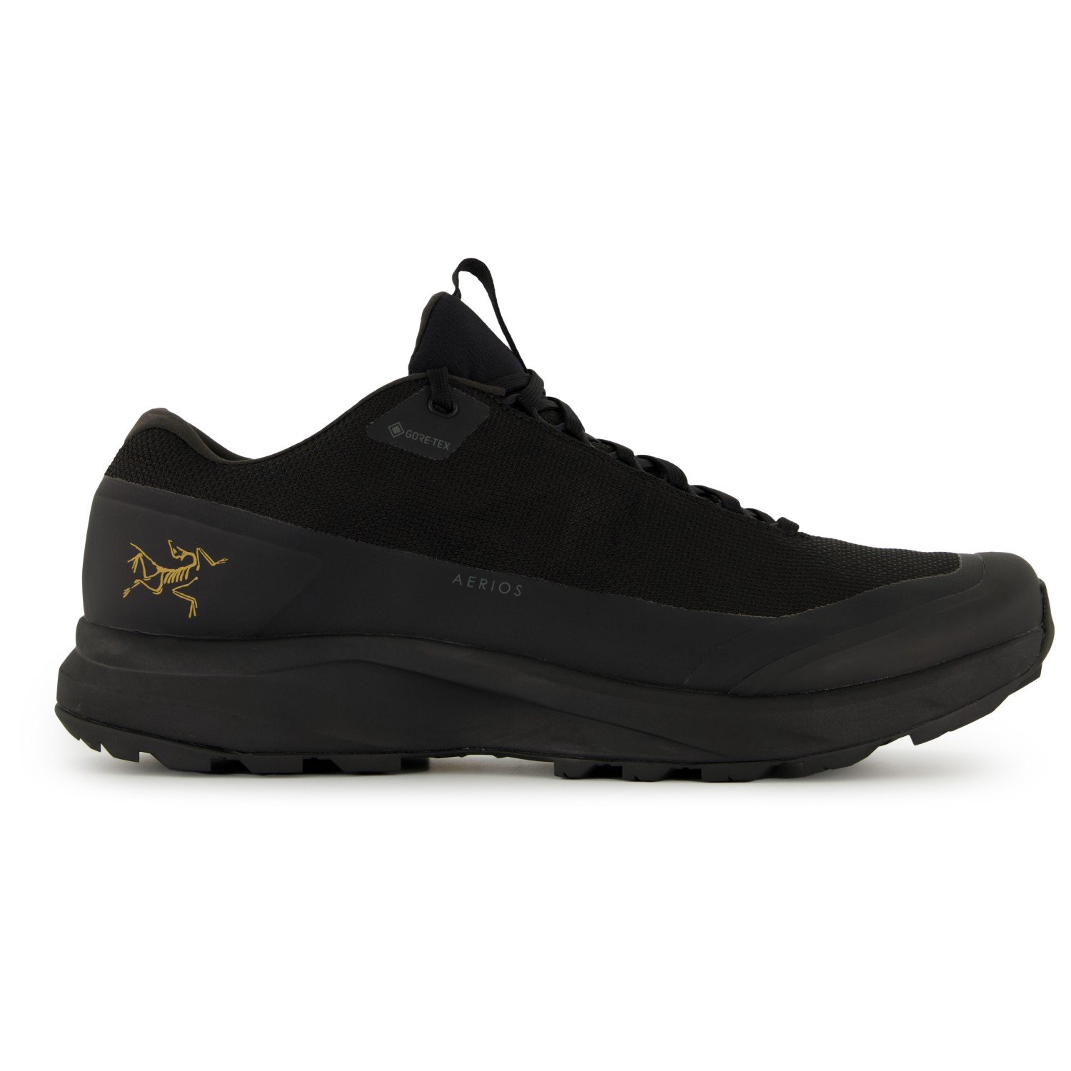 

Мультиспортивная обувь Arc'Teryx Aerios GTX, цвет Black/Black