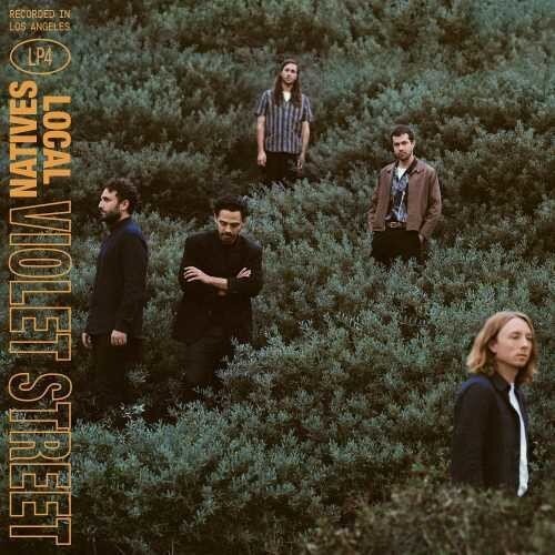 

Виниловая пластинка Local Natives - Violet Street