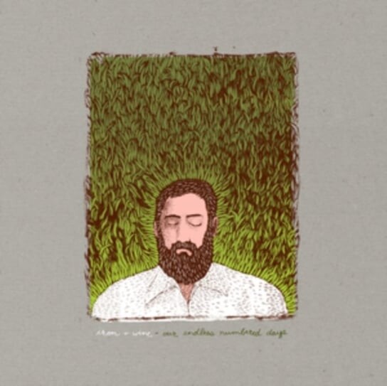 

Виниловая пластинка Iron & Wine - Our Endless Numbered Days (Deluxe Edition)
