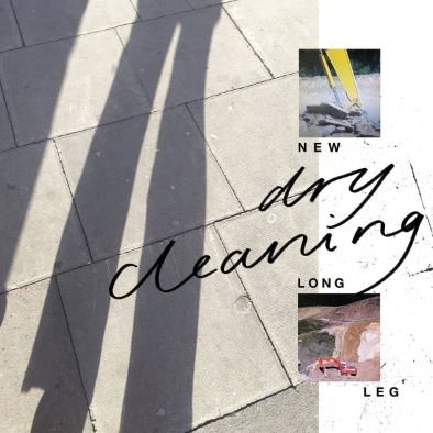 Виниловая пластинка Dry Cleaning - New Long Leg