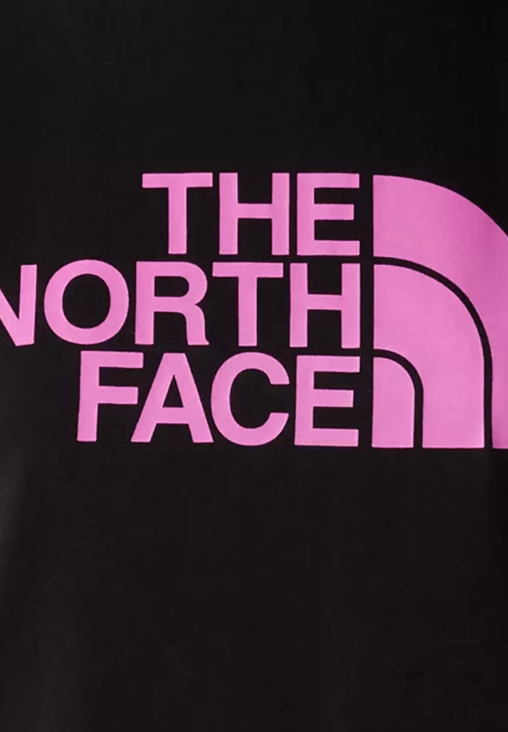 

Футболка с принтом Easy Tee The North Face, черный