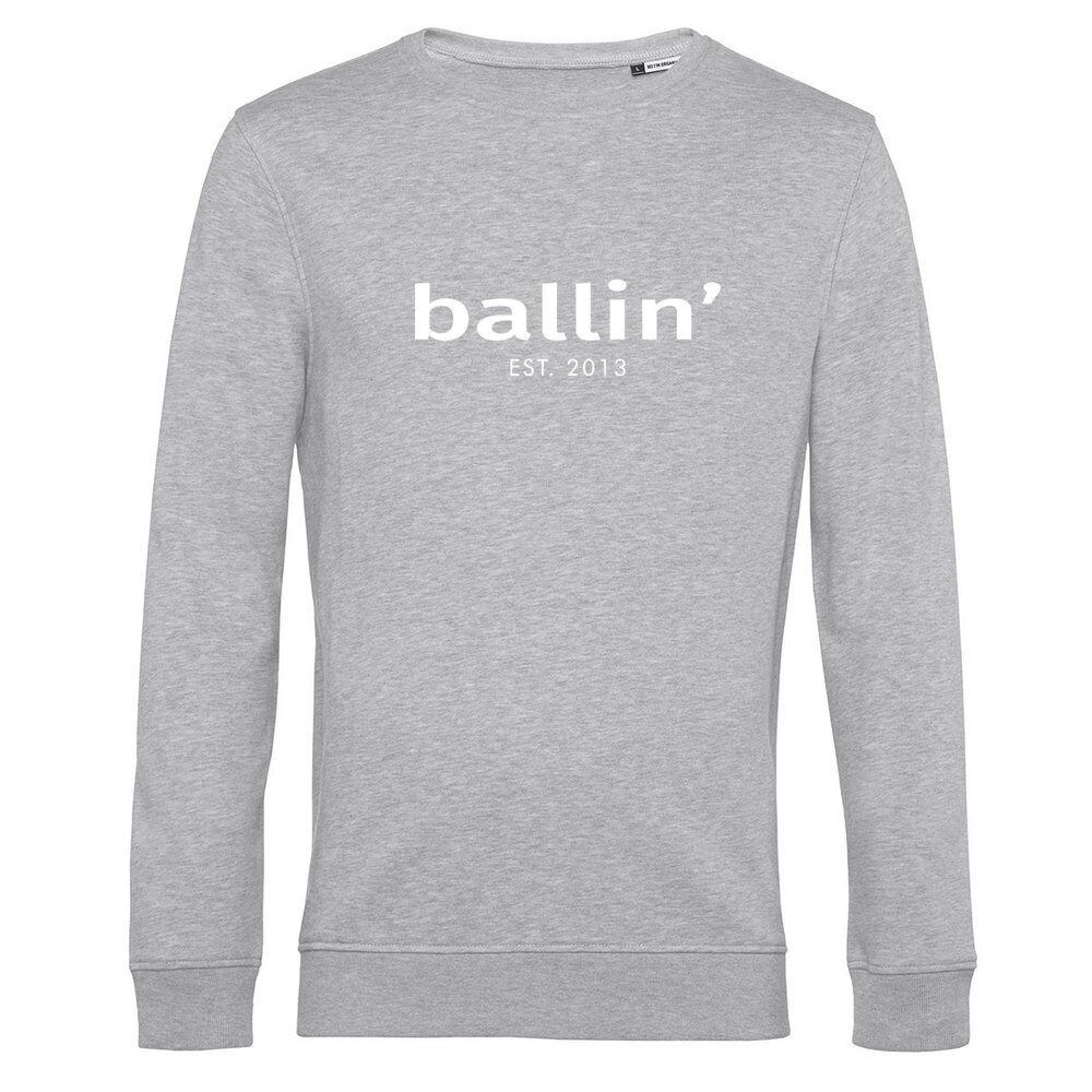 

Толстовка Ballin Basic, серый