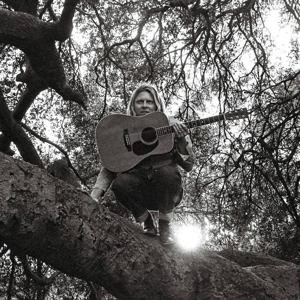 

Виниловая пластинка Ty Segall - Hello, Hi