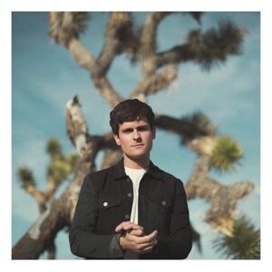 

Виниловая пластинка Speight Tom - Everything's Waiting For You