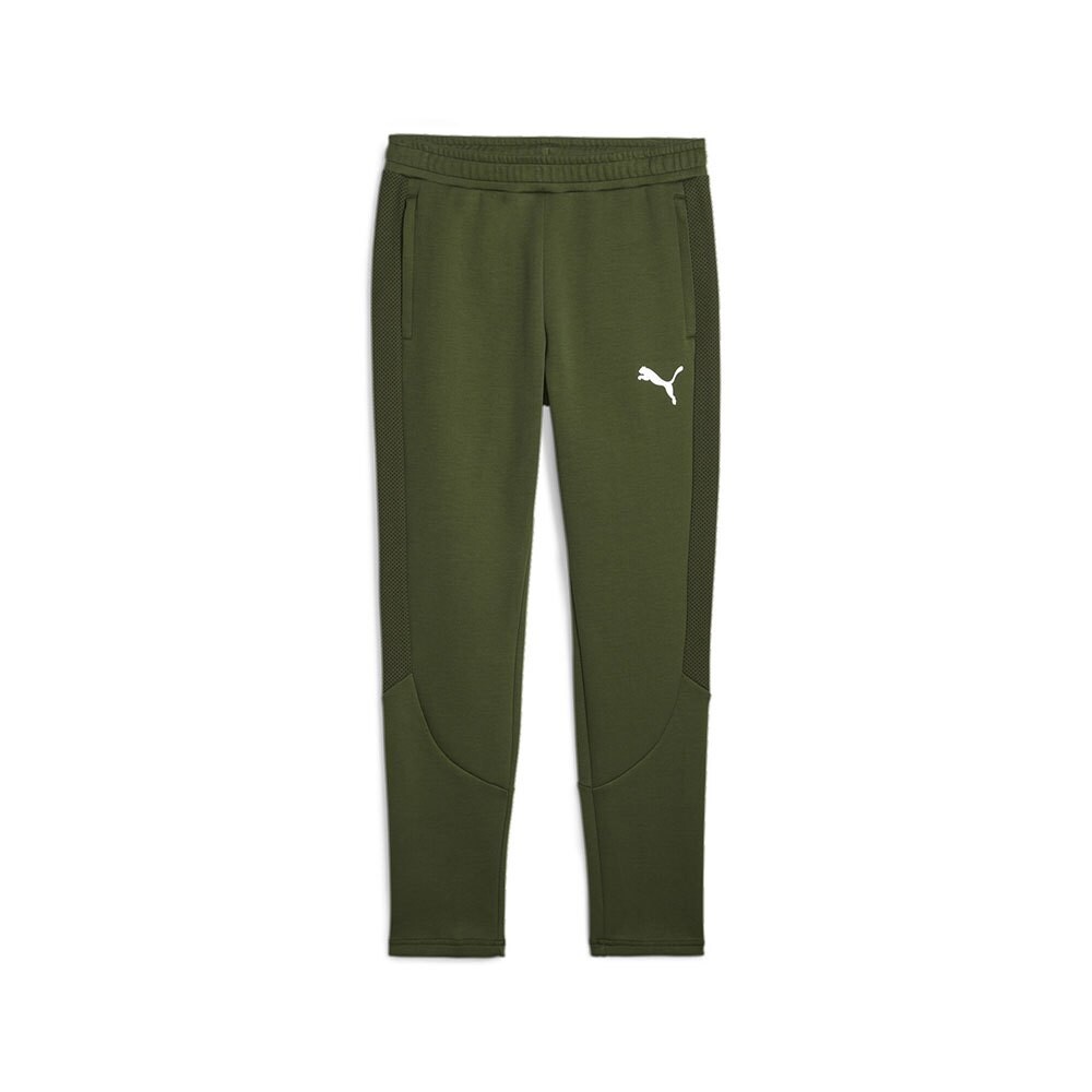 

Спортивные брюки Puma Evostripe DK, зеленый