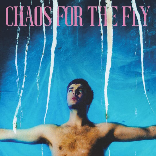 

Виниловая пластинка Chatten Grian - Chaos For The Fly