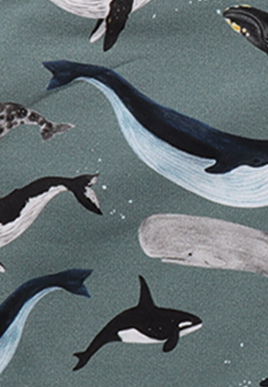 

Толстовка на молнии THE GREAT WHALES Walkiddy, зеленый