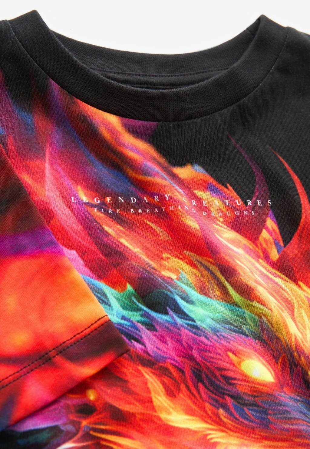 

Футболка с принтом All Over Short Sleeve Standard Next, черный дракон