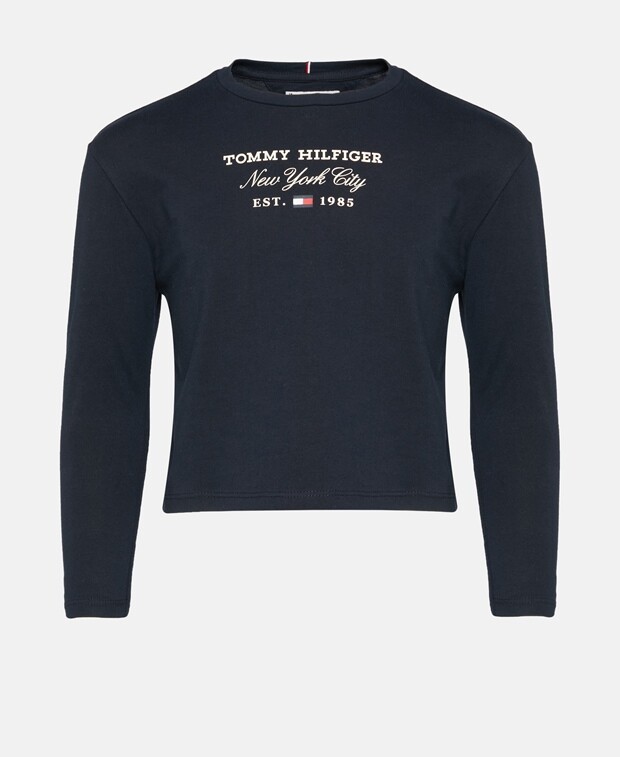 

Топ с длинными рукавами Tommy Hilfiger, цвет Ice