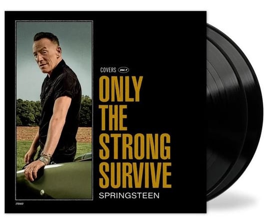 Виниловая пластинка Springsteen Bruce - Only The Strong Survive виниловая пластинка springsteen bruce only the strong survive цветной винил