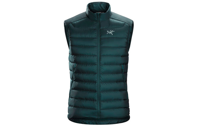 

Жилет мужской серии CERIUM Arcteryx, цвет Paradox