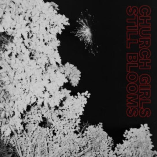 

Виниловая пластинка Church Girls - Still Blooms