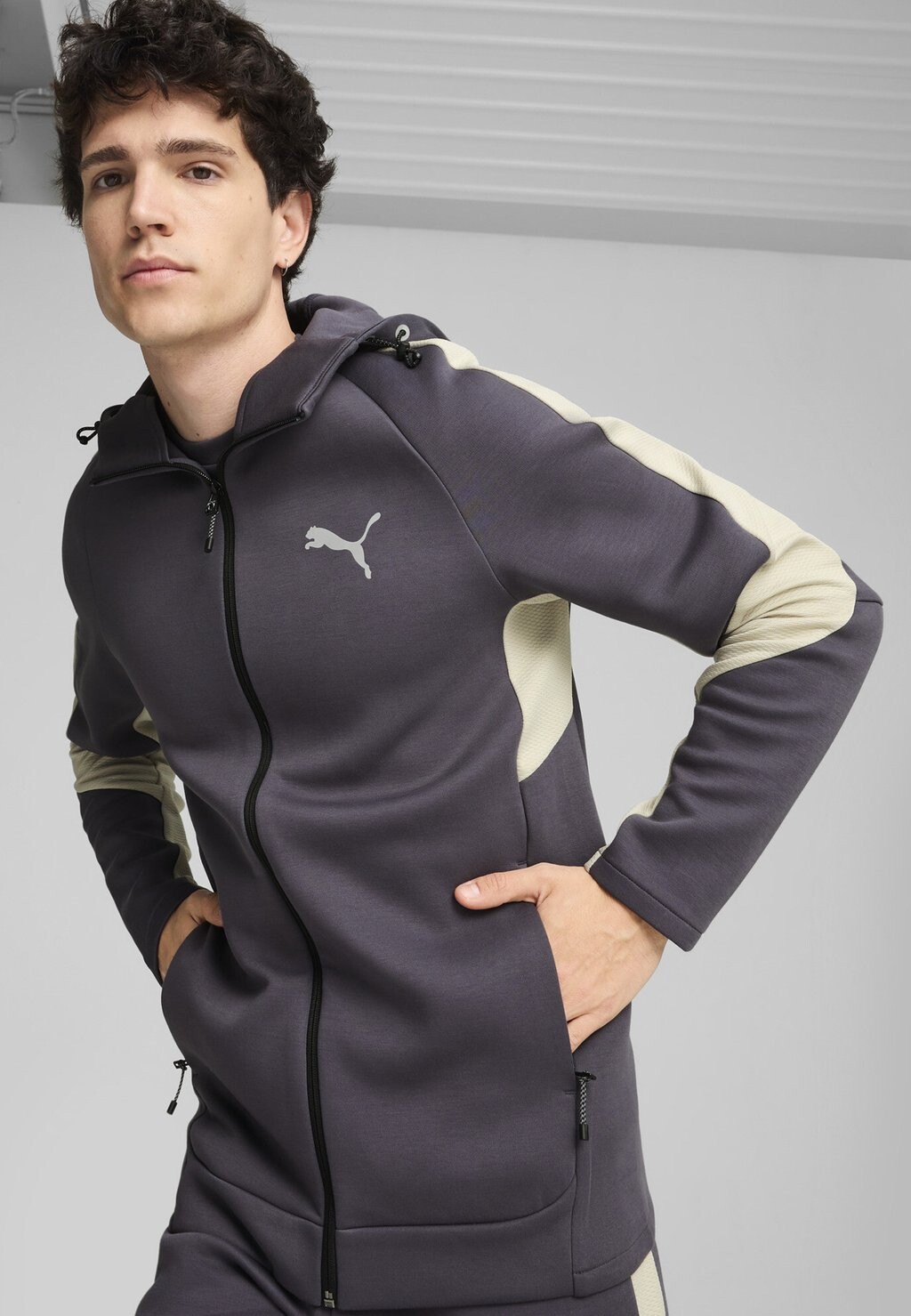 

Толстовка на молнии EVOSTRIPE FULL-ZIP Puma, серый