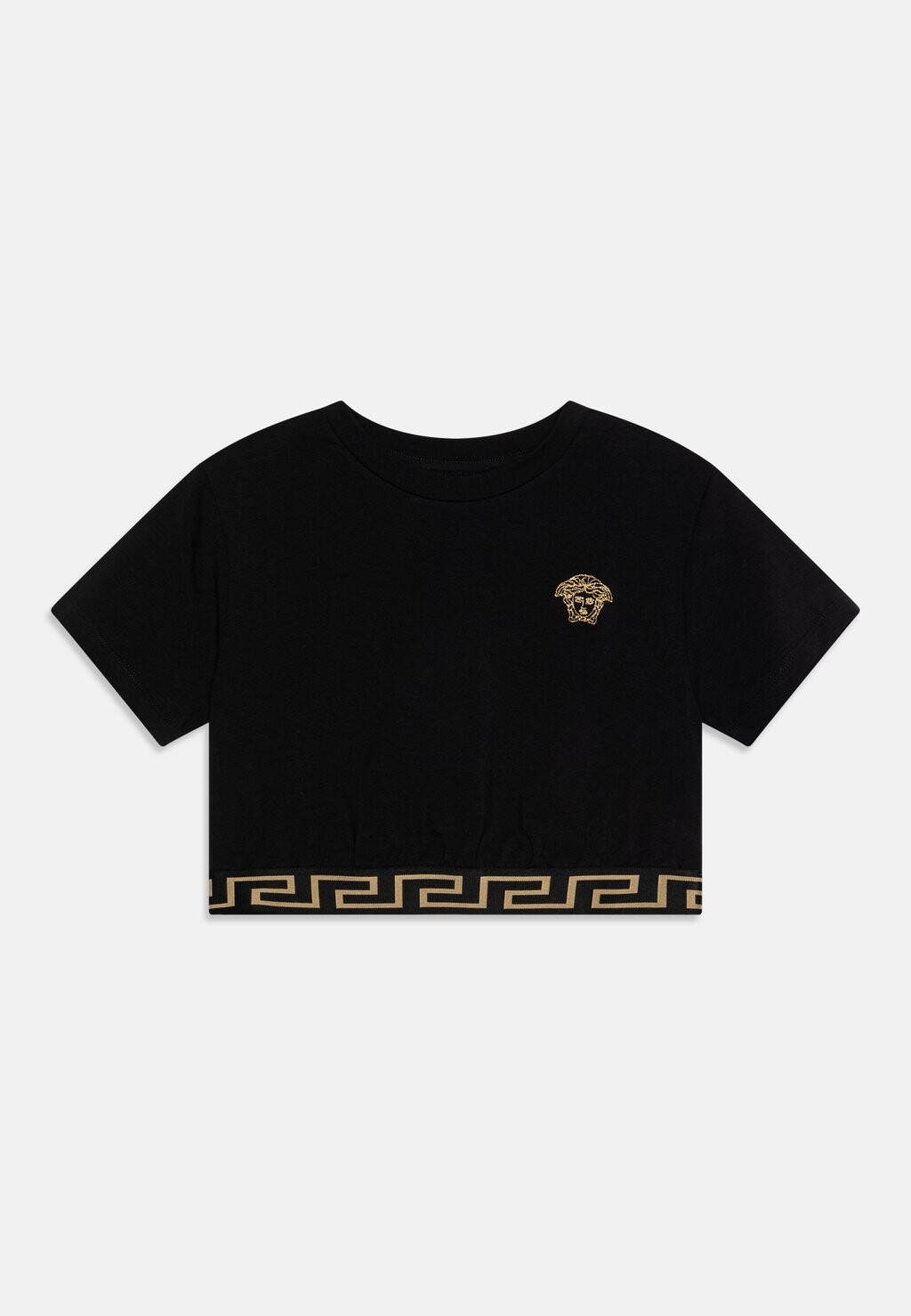 

Футболка с принтом Medusa Embroidery Versace, цвет black/gold