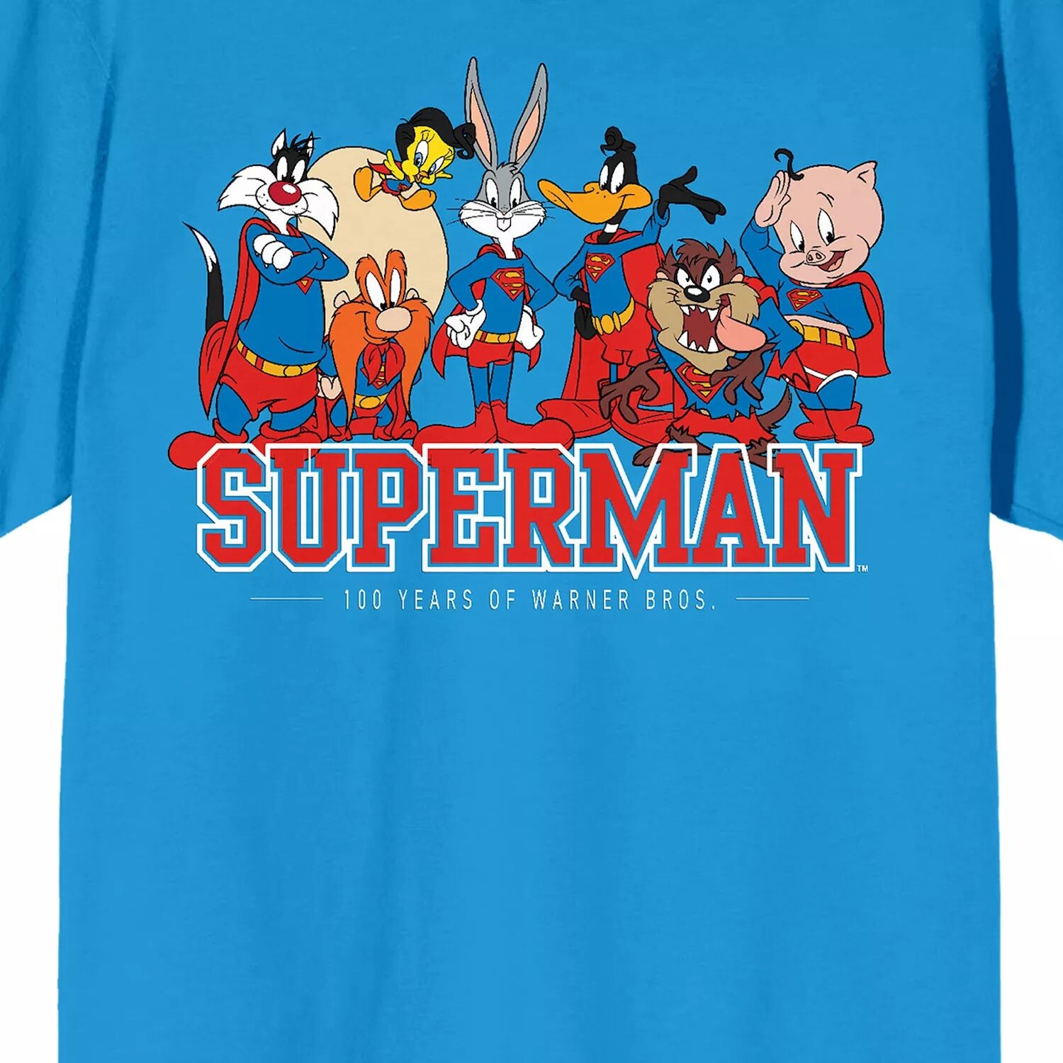 

Мужская футболка с рисунком Warner Brothers 100 лет Looney Tunes Licensed Character