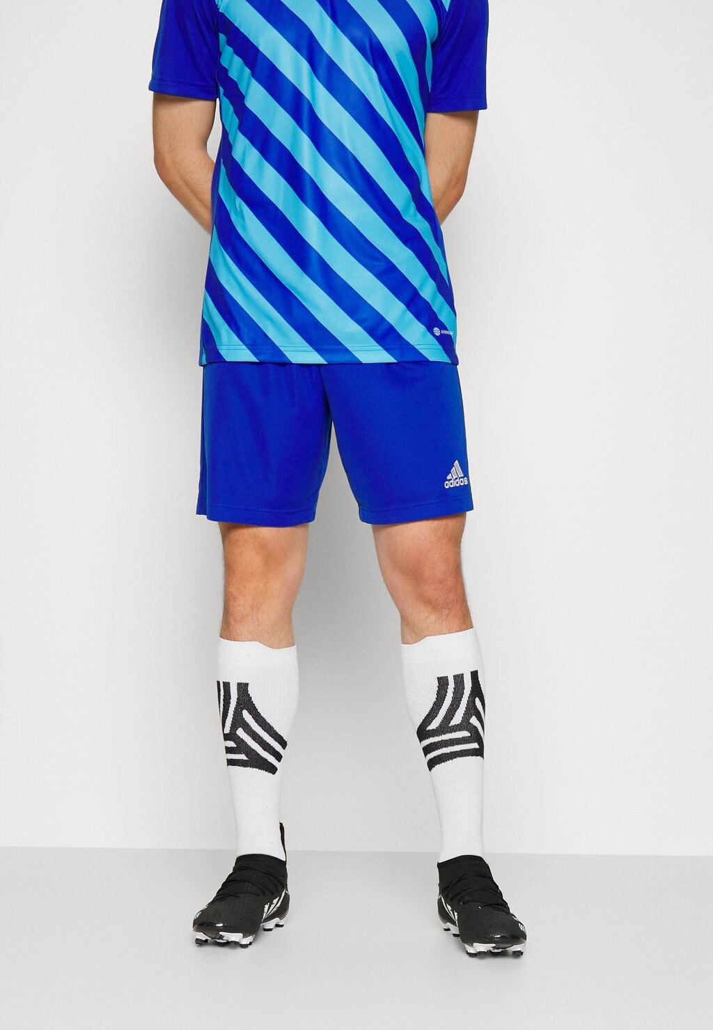 

Спортивные шорты Adidas