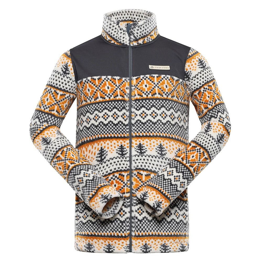 

Толстовка Alpine Pro Eflin, разноцветный