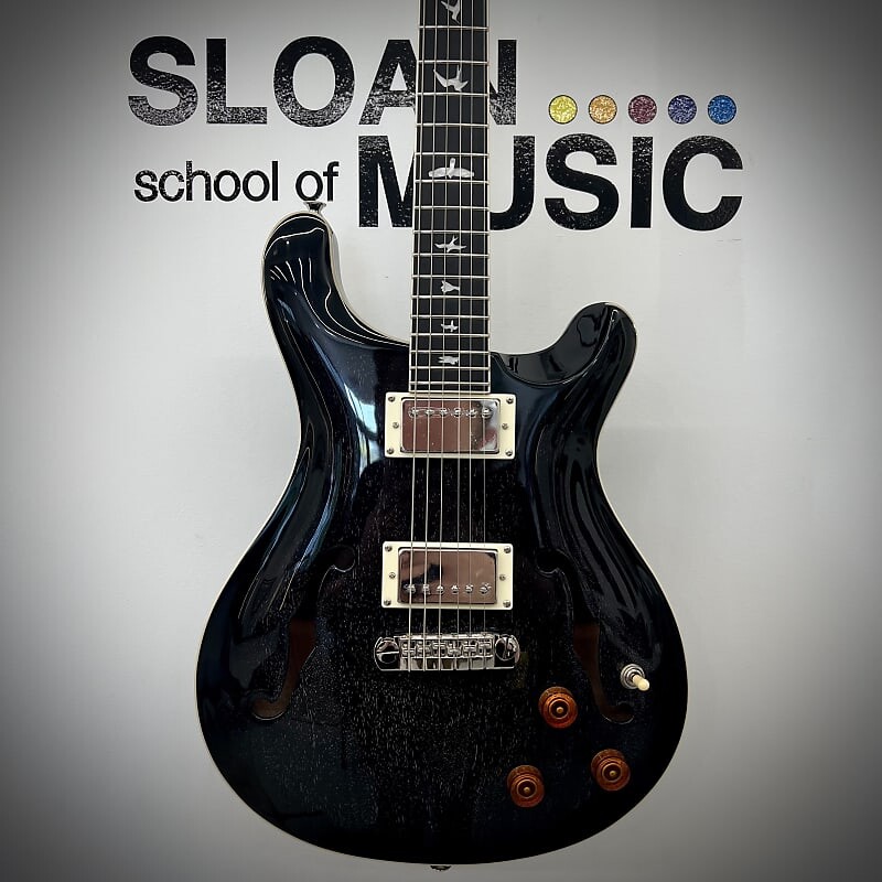 

Электрогитара PRS SE Hollowbody Standard Piezo Electric Guitar - Dog Hair