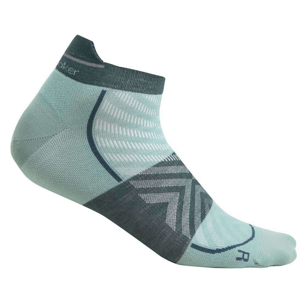 

Носки Icebreaker Merino Run+ Ultralight Micro, Разноцветный