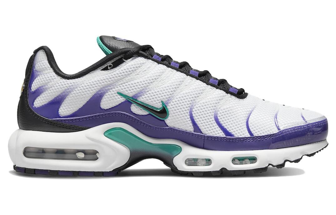 

Кроссовки мужские Nike Air Max Plus, белый / фиолетовый