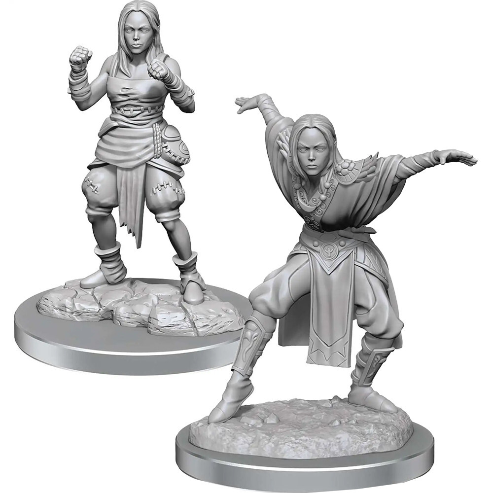 

Ролевая игра WizKids/NECA Pathfinder Battles Deep Cuts Unpainted Minis: W21 Female Half-Elf Monk