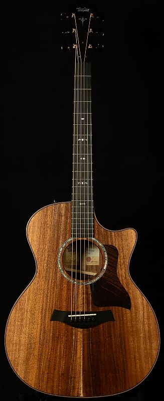 

Акустическая гитара Taylor Guitars 724ce