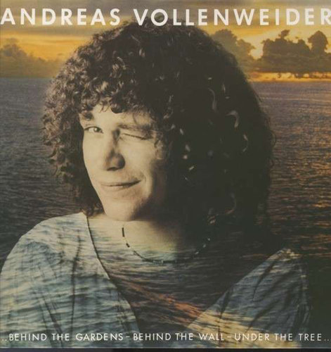 Виниловая пластинка Vollenweider Andreas - Behind The Gardens