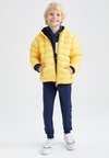 Зимняя куртка REGULAR FIT Defacto, желтый куртка defacto kurzmantel regular fit аква