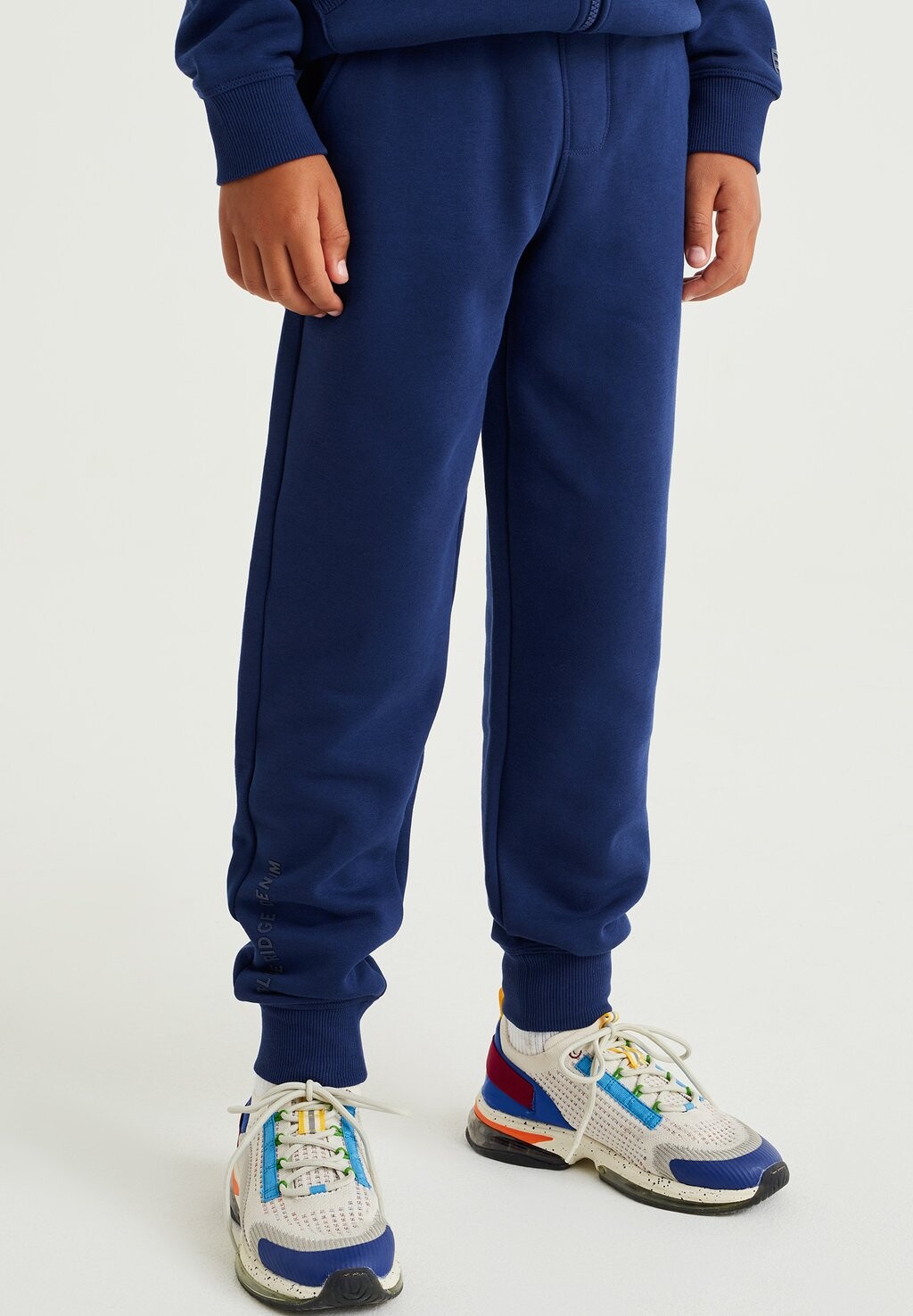 

Брюки спортивные WE Fashion, цвет blue