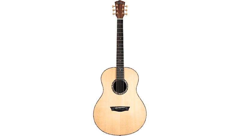 Акустическая гитара Washburn Bella Tono Elegante S24S - Solid Top Acoustic