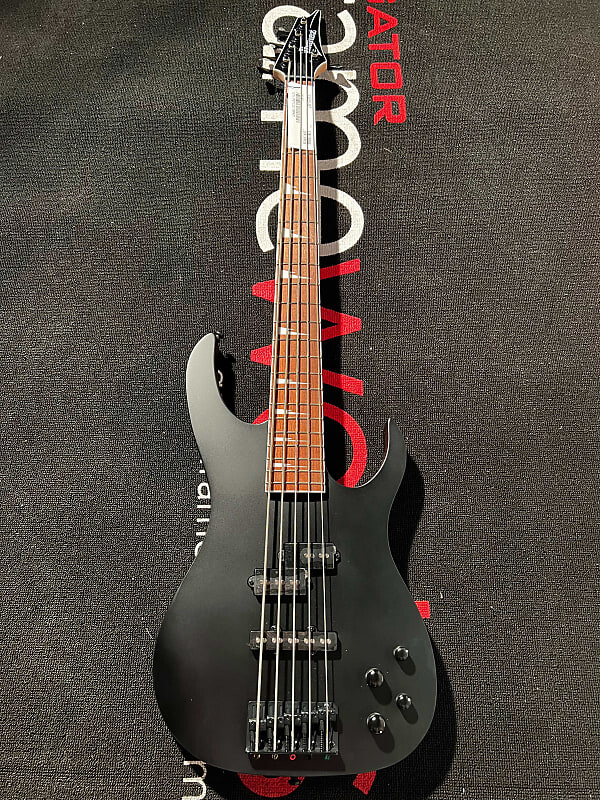 

Басс гитара Ibanez Standard RGB305 Bass Guitar - Flat Black