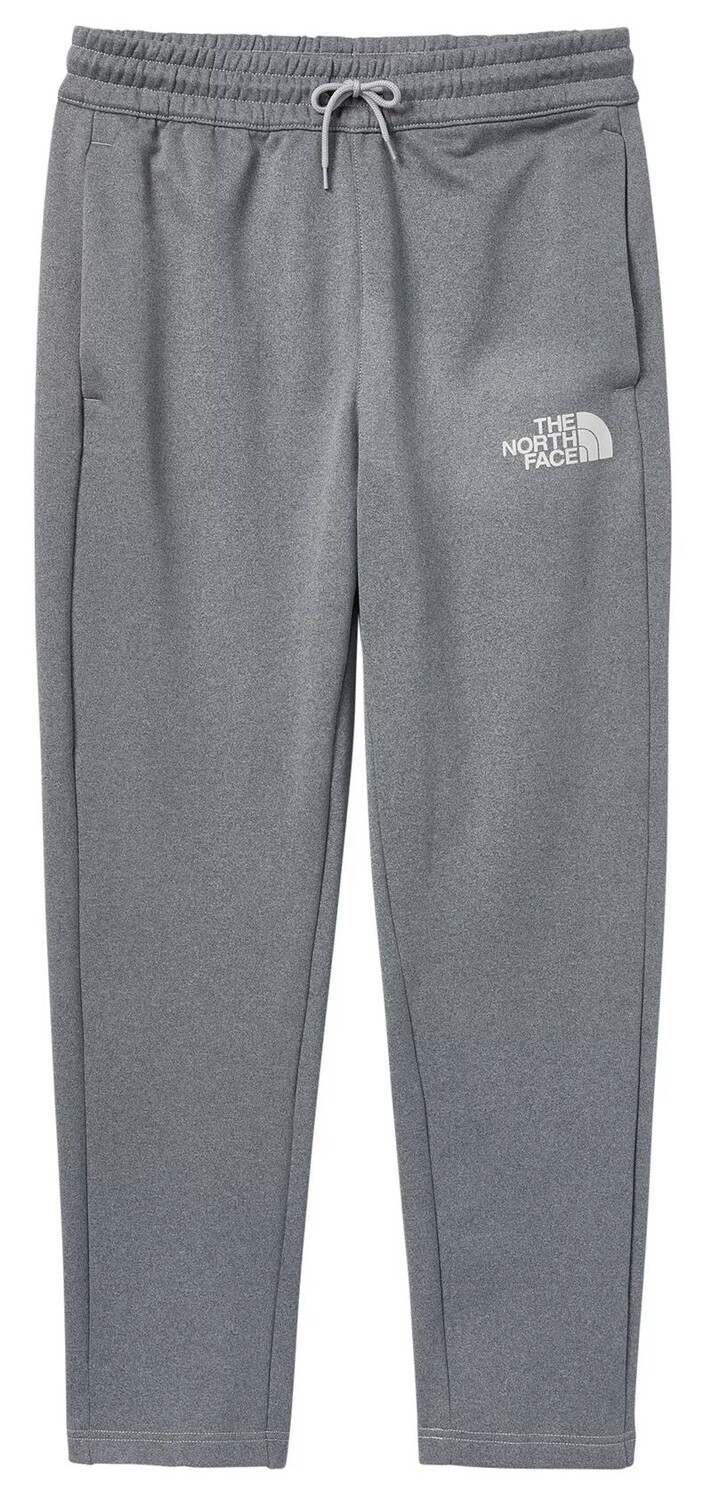 

Мужские флисовые брюки Horizon Performance The North Face