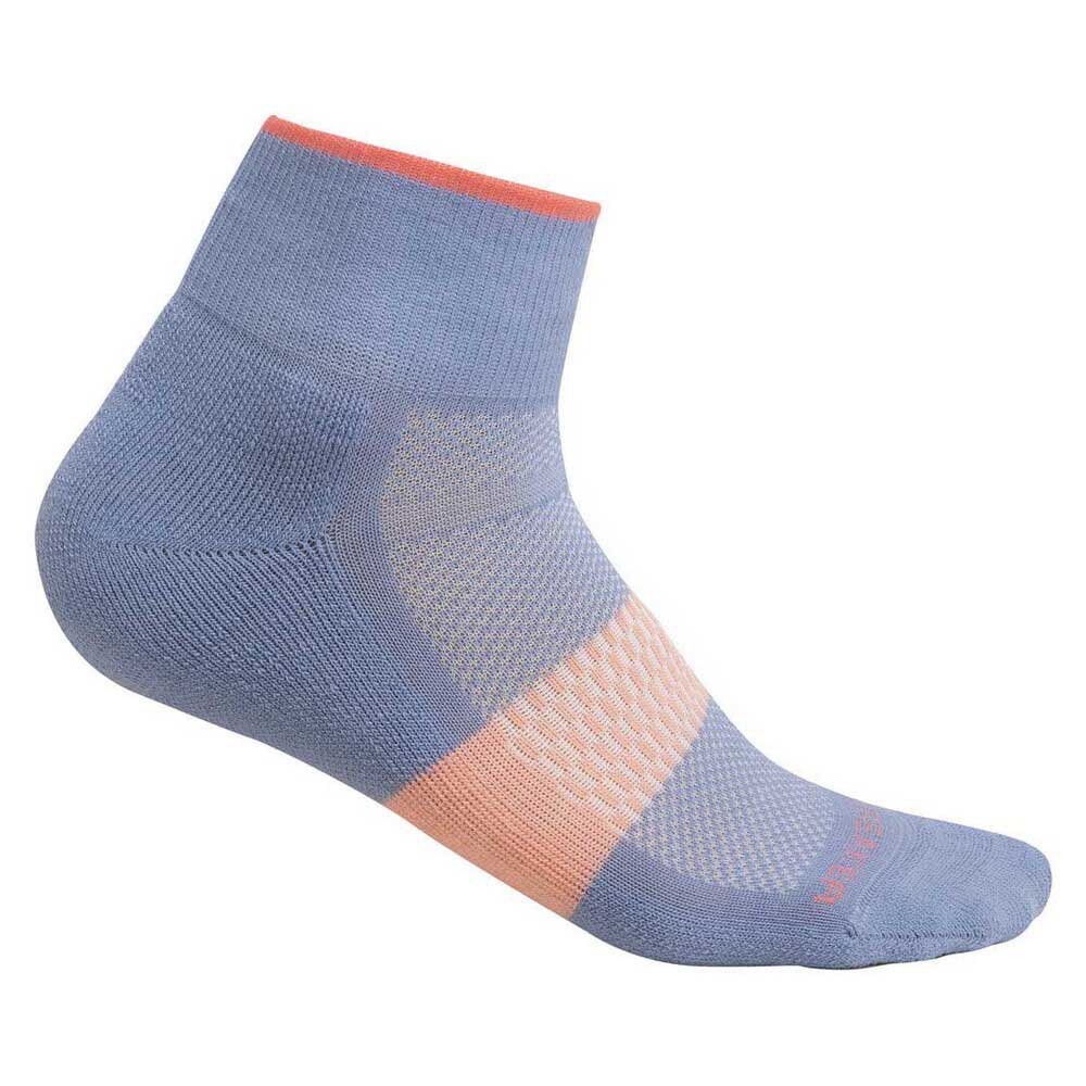 

Носки Icebreaker Merino Multisport Light Mini, Разноцветный