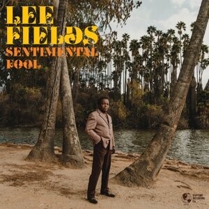

Виниловая пластинка Fields Lee - Sentimental Fool
