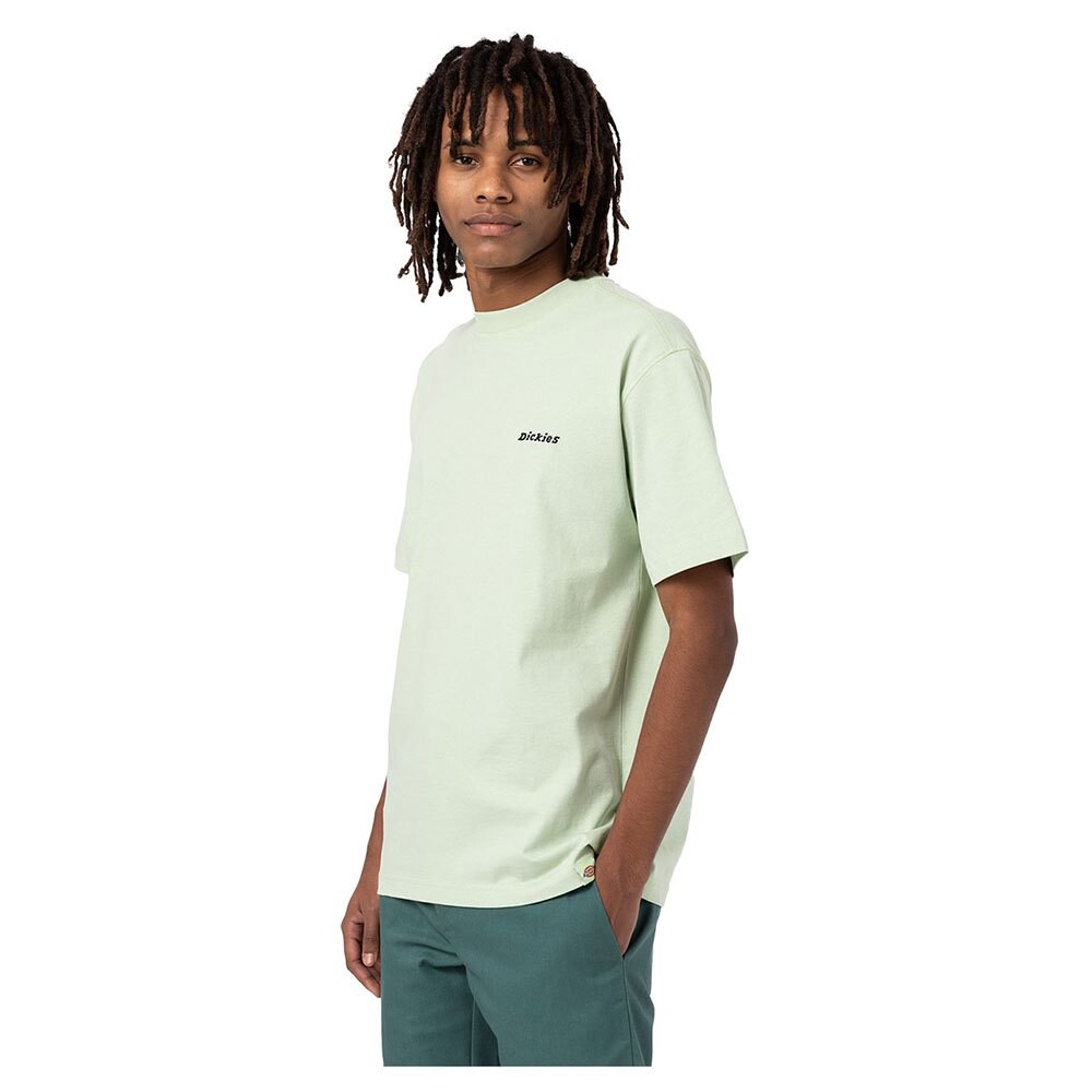 

Футболка Dickies Loretto, зеленый