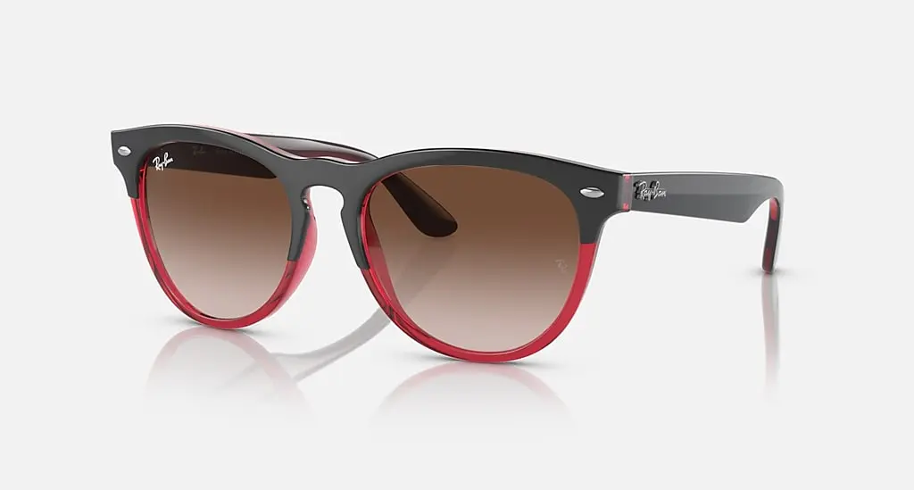 

Солнцезащитные очки Ray-Ban IRIS, коричневый