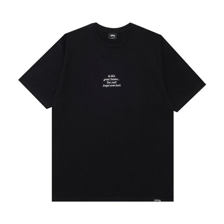 

Футболка Stussy Fpar Great Future 'Black', черный