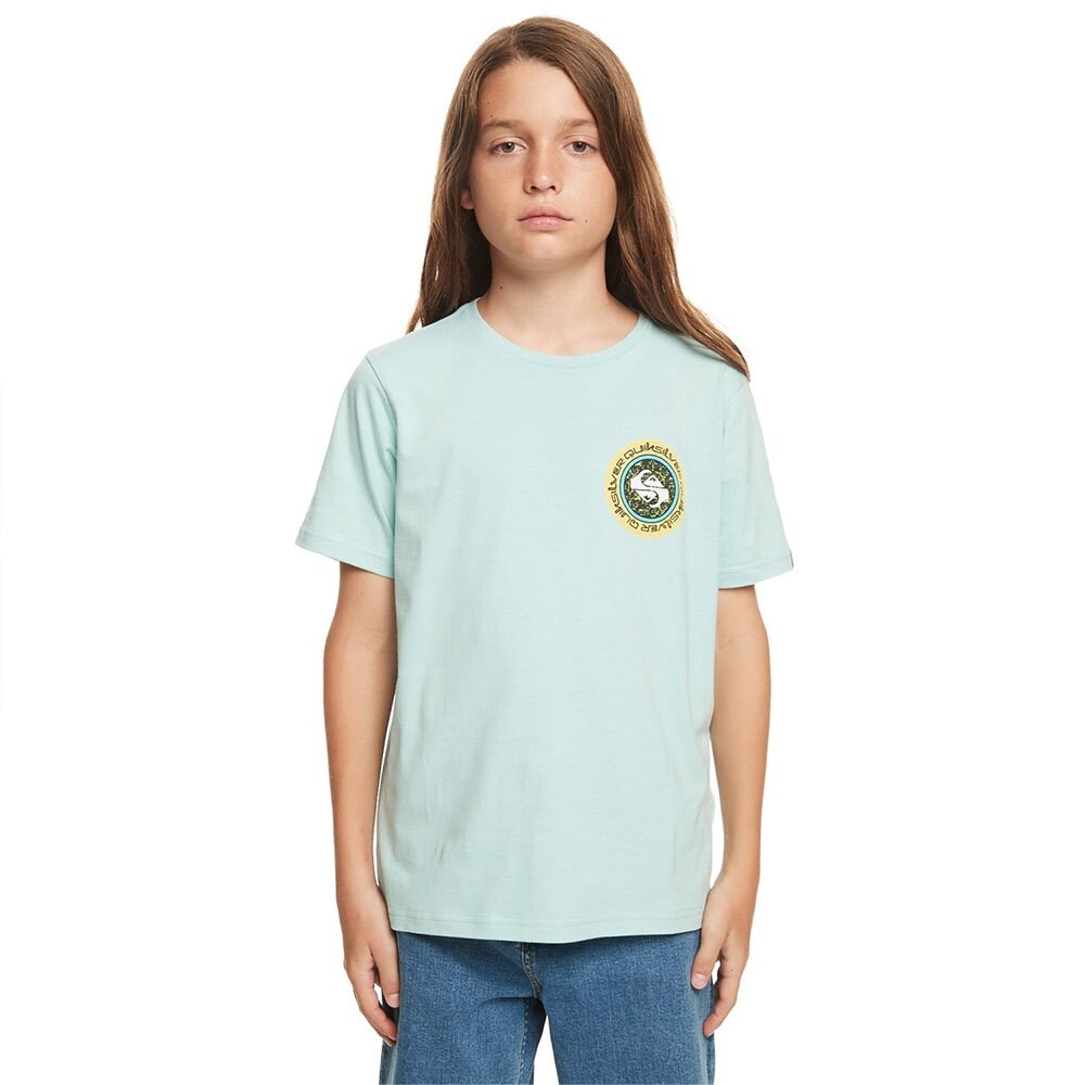 

Футболка Quiksilver Omni Circle, зеленый