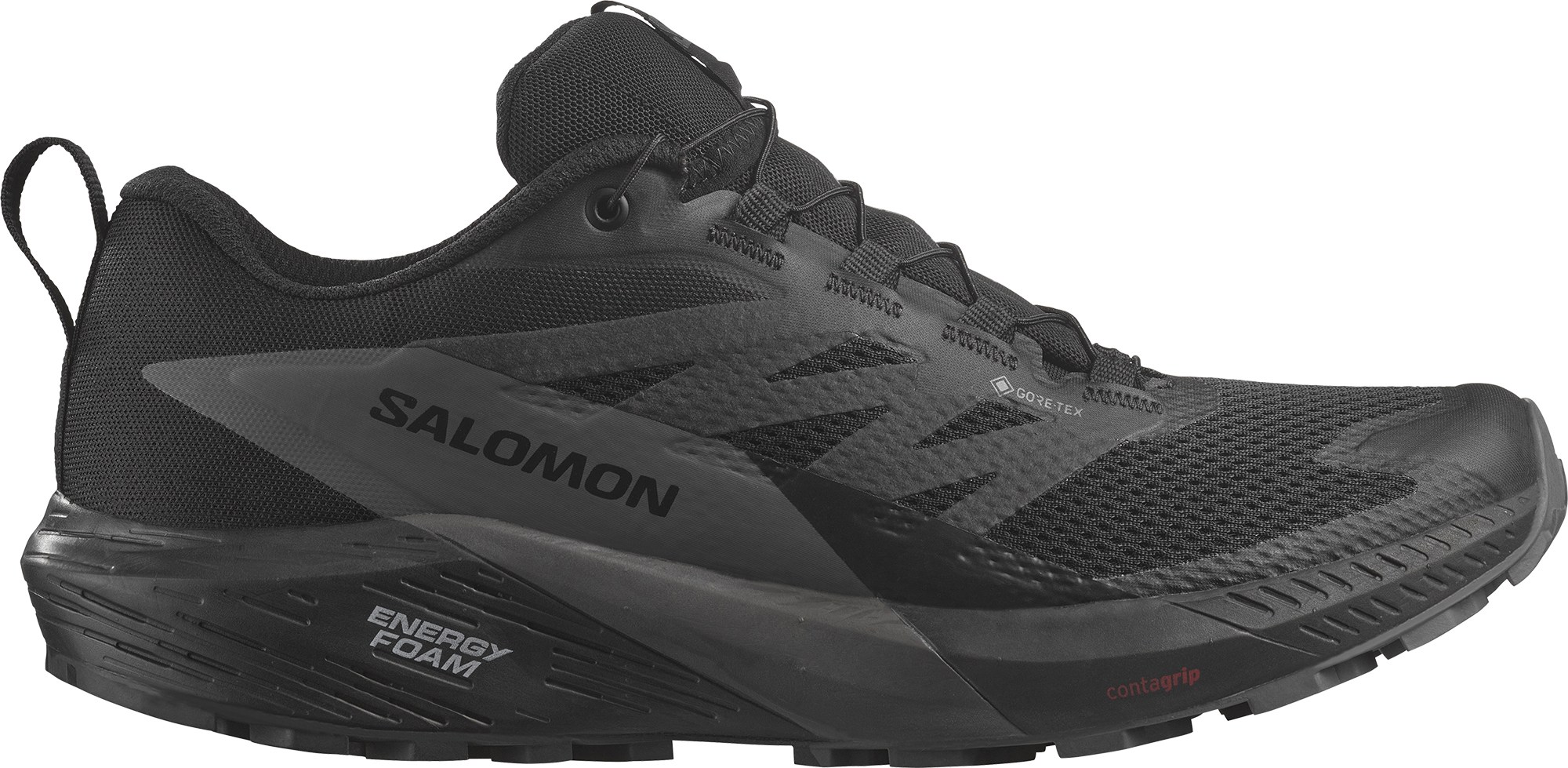 Кроссовки для бега по пересеченной местности Sense Ride 5 GORE-TEX — мужские Salomon, черный