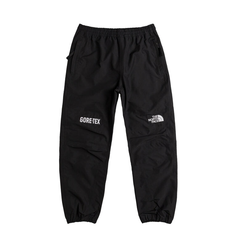 

Брюки Gore-Tex Mountain Pant The North Face, черный