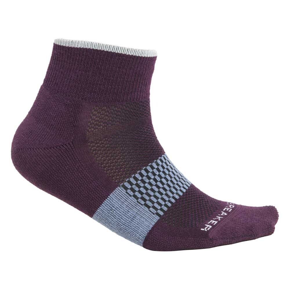 

Носки Icebreaker Multisport Light Mini Merino, фиолетовый