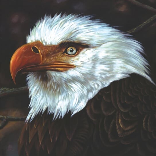 

Виниловая пластинка Mogwai - The Hawk Is Howling