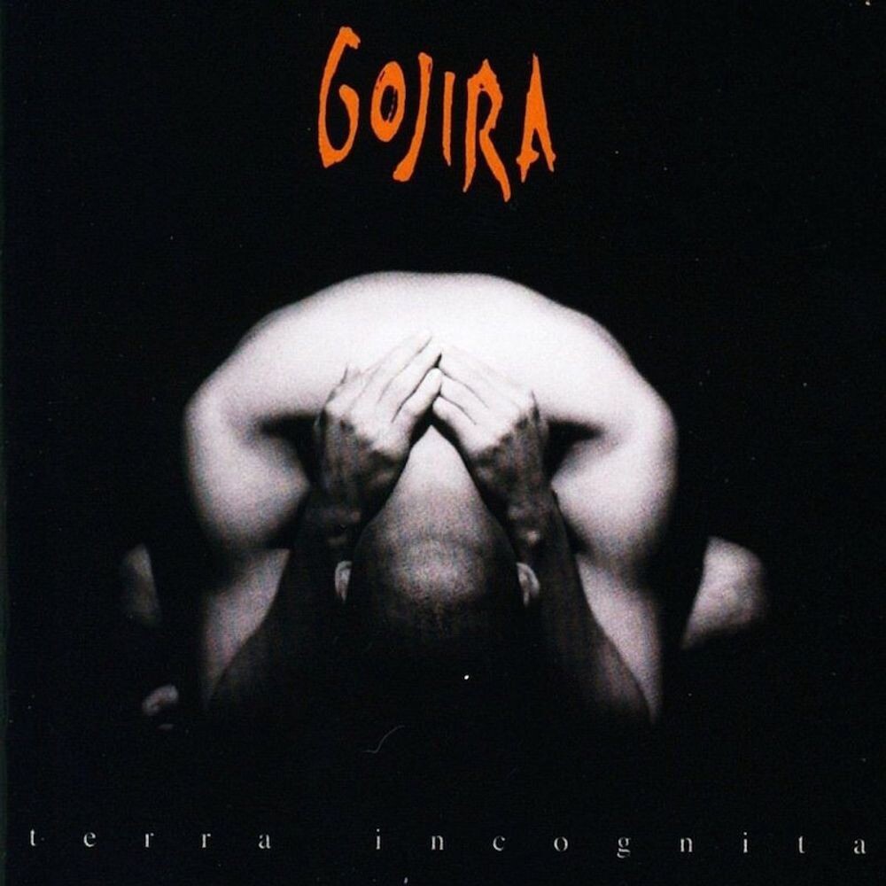 

Виниловая пластинка LP Terra Incognita - Gojira