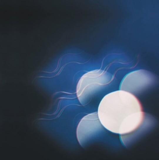 

Виниловая пластинка Mutual Benefit - Thunder Follows The Light