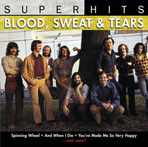 

CD диск Blood Sweat & Tears: Super Hits